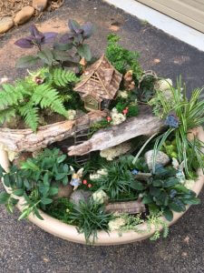 fairy garden