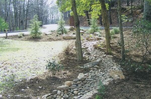 Natural stone rain drainage bed curving through trees and plantings