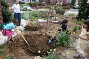 Kids Planting a Tree