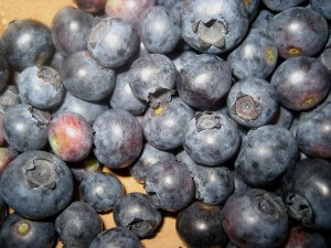 Blueberries