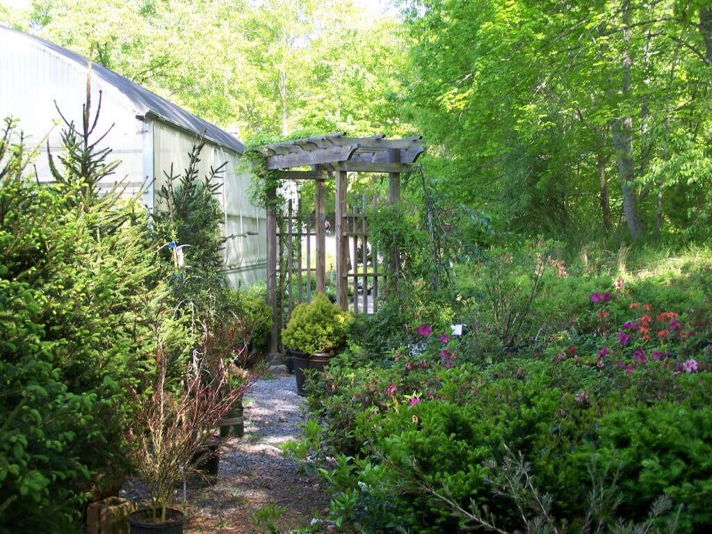 The Best Plants for Fall