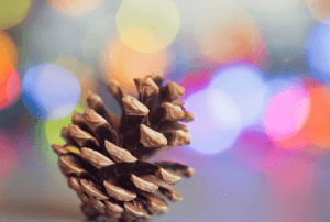 pinecones and christmas lights