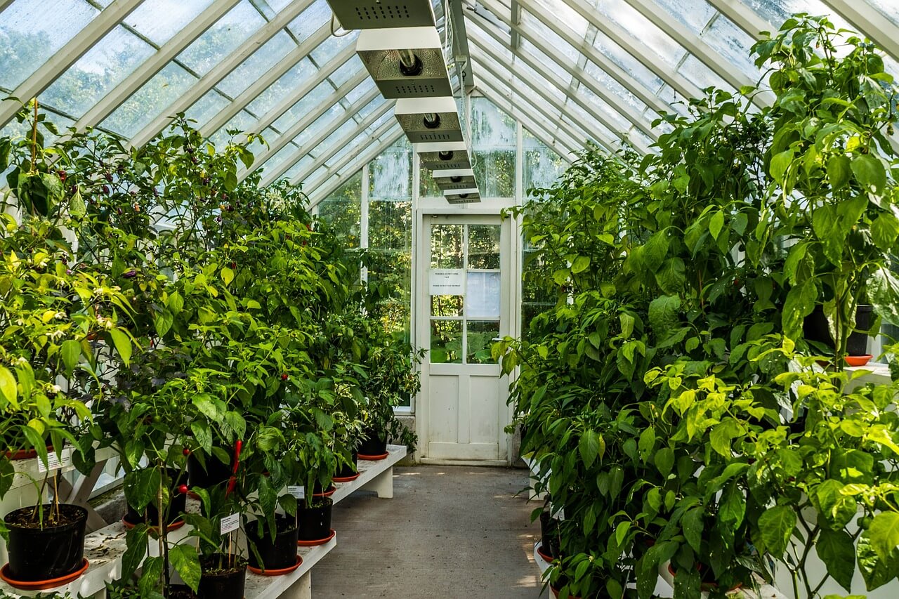 Greenhouses