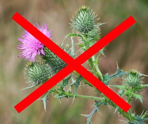 no weeds!
