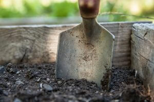 shovel digging in dirt