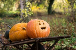 garden decorations for fall