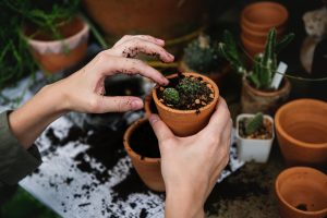 gardening