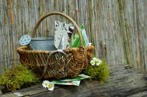  Basket full of gardening tools