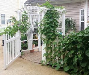 Design and Installation Small patio with archway