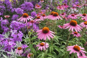  Georgia Garden in Bloom