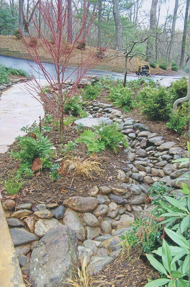 Woodland Gardening Ideas for North