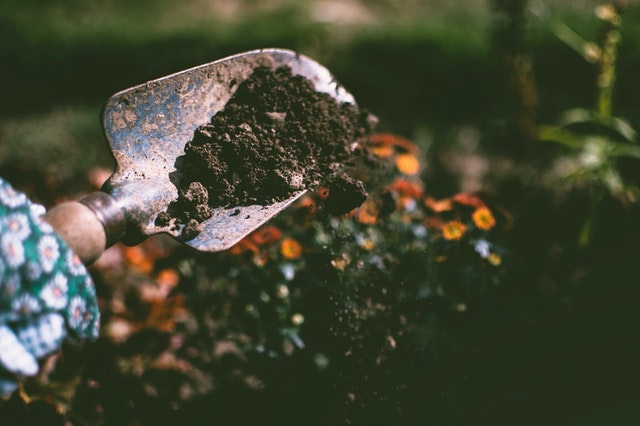 Garden spade with soil